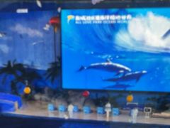 -泉城欧乐堡海洋极地世界