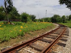 -武汉紫薇都市田园