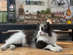 -北马山庄植趣咖啡