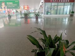 -老乡鸡(合肥高铁南站店)