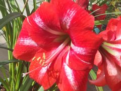 -北京植物园-展览温室