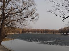 -北陵公园