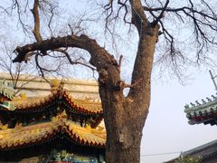 -贤良祠