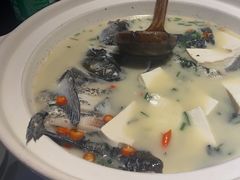 -老傅家湘潭水煮活鱼店(众一国际店)