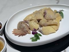 白切鸡-滋粥楼·顺德菜(番禺广场总店)