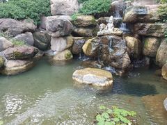 -秀丽东方