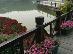 -南国桃园旅游度假区