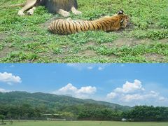 -乐和乐都主题乐园