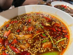 -杨氏青龙虾·羊蝎子(金盛路总店)