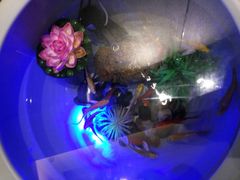 -廊坊固安福朋喜来登酒店