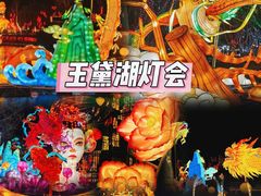 -淄博花灯齐彩城