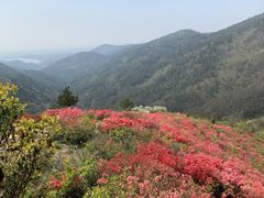 -木兰云雾山