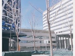 -首都医科大学附属北京天坛医院