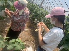 -美家乐农庄·露营·团建(大治路店)
