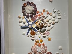 -青岛贝壳博物馆