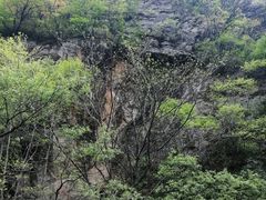 -牛背梁国家森林公园
