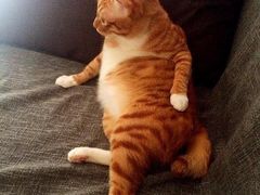 -GAONNURI加温努力(马场店)