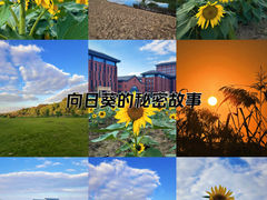 -浙江大学(紫金港校区)