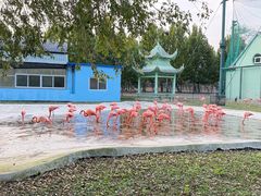 -秦皇岛野生动物园