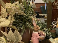 -春风·有糖(崇宁路店)