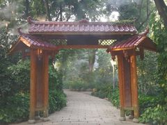 -金花茶公园