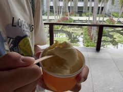 -半山半岛洲际度假酒店·观海廊
