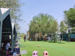 -亲兄弟真人CS团建拓展基地