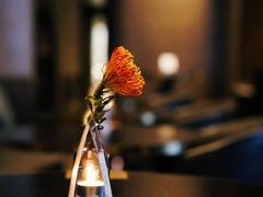 -wineapp葡萄酒餐吧(外滩金融中心店)
