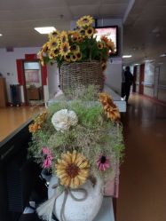 -厦门市妇幼保健院(总院区)