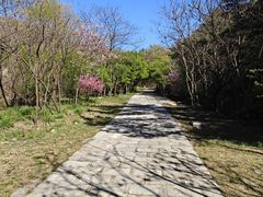 -金龙寺国家森林公园