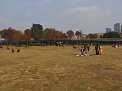 -府河摄影公园
