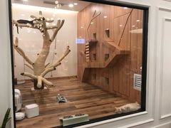 -袖虎·猫馆(体育西路店)