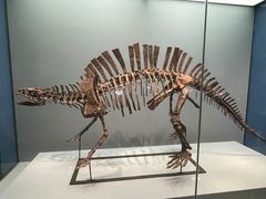 -湖南省地质博物馆