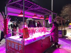 -沈阳奥体冰雪嘉年华