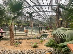 -呀路古热带植物园