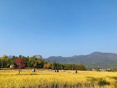 -塔川景区