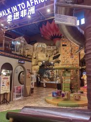 点击看大图 -卡通尼·Safari非洲探索乐园·生日会(金桥国际商业广场店)