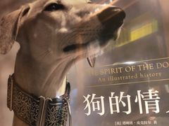 -西西弗书店&矢量咖啡(凯德晶萃广场店)