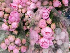 -循礼门鲜花花市(武汉循礼门店)