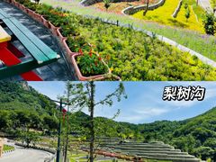 -桔子文创·企业团建·活动策划·拓展会议