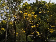 -十九路军淞沪抗日阵亡将士陵园