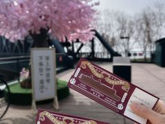 -武汉知音号