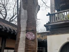 -沈坤状元府景区