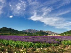-西海岸生态观光园