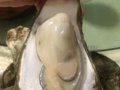 桑拿蠔-天宝食坊·啫啫煲大排档(西华路店)