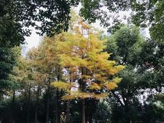 -苏州河梦清园环保主题公园