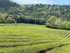 -敬亭山风景名胜区