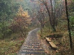 -郧西五龙河风景区