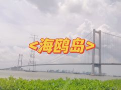 -海鸥岛