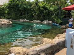 浮潜！里面滴有2.3米深，挺漂亮-新加坡水上探险乐园